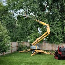 Best Tree Health Inspection  in Bradford, PA